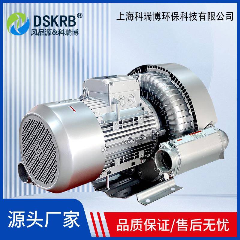 2R9B138007AH-17125K.W生物粪便发酵曝气高压鼓风机