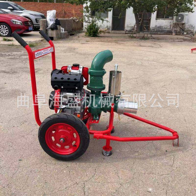 4寸铸铁浇离心泵组车款风冷柴油机抽水泵灌溉推地RKV水泵,鲜花速递/花卉仿真/绿植园艺,其它园艺用品,淘宝优惠券,粉丝福利购,淘宝优惠卷