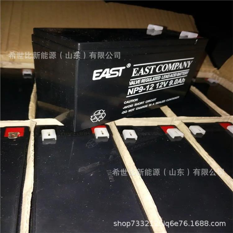 易事特NP9-12电子仪器系统蓄电池12V9AH应急设备UPS/EPS电源