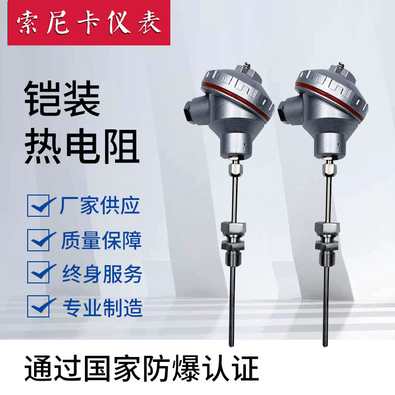 耐高温铠装热电阻工业pt100热电阻WZP-230热电阻装配式防爆热电阻