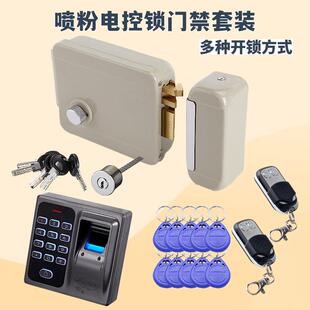 1073电控锁喷粉套装门禁系统ID刷卡ic感应开锁密码锁遥控锁