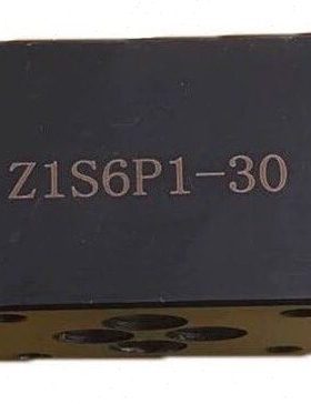 华德型单向阀 Z1S6P1-30B Z1S10P1 Z1S6C Z1S10T A B D E F Z1S6T