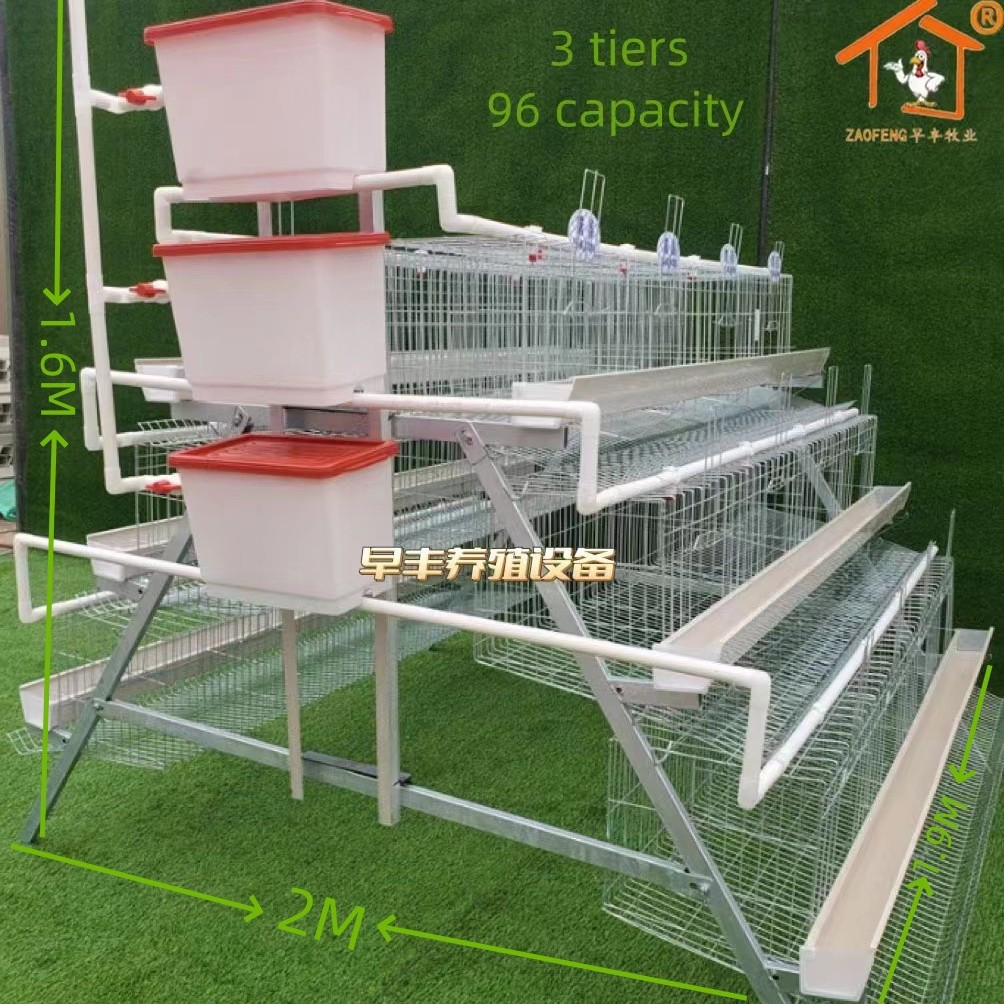 A型H型鸡笼三层四层蛋鸡笼鸡舍养殖笼镀锌热镀锌鸡笼自动饮水清粪