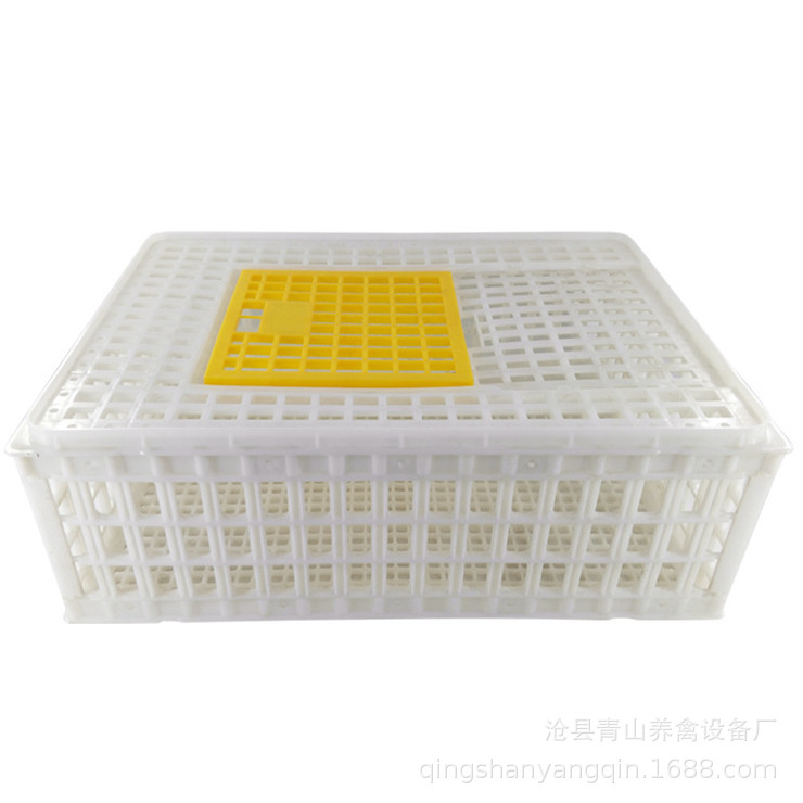 加厚型 鸡用运输笼 青年鸡用周转箱 塑料运输鸡笼 鸡鸭鸽子周转箱