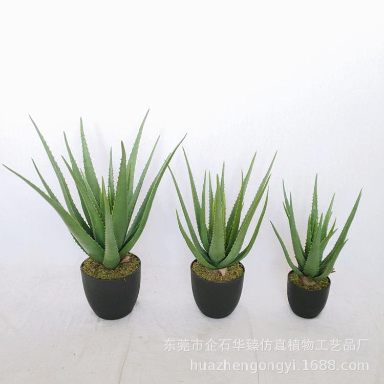 仿真多肉植物芦荟盆栽家居办公室室内装饰盆栽软装室内造景配件