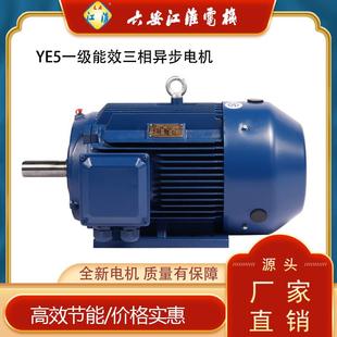 2.2KW2极三相异步电机风机电机 六安江淮电机一级能效YE5 90L