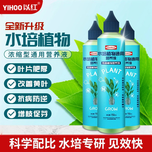 水培植物专用营养液富贵竹转运竹巴西木郁金香绿萝铜钱草通用肥料