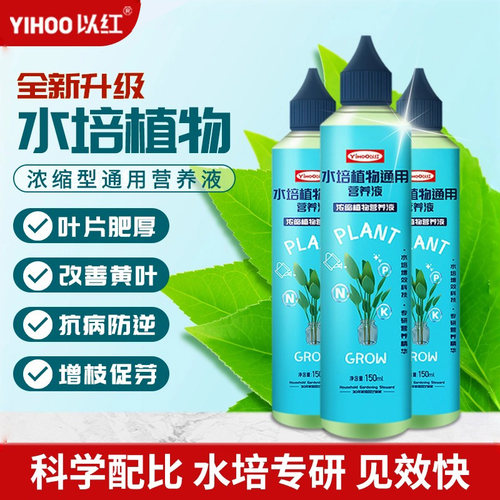 水培植物专用营养液富贵竹转运竹巴西木郁金香绿萝铜钱草通用肥料