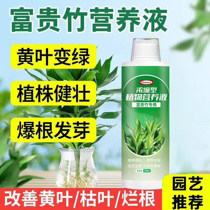 富贵竹专用营养液水培治黄叶促生根家用转运竹观音竹盆栽通用肥料