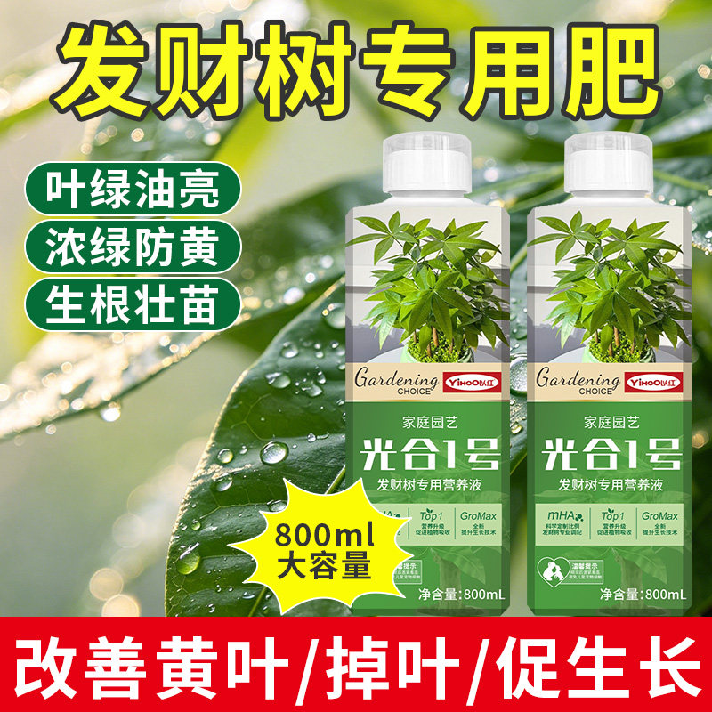 发财树专用营养液800ml治黄叶