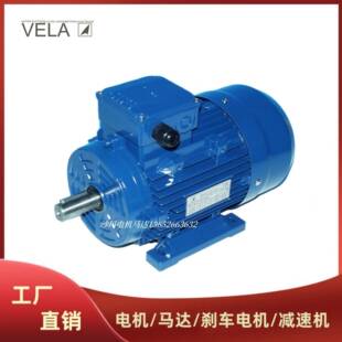意大利VELA电机马达MSVL263718090S100L112M132M160L180M