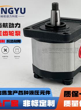Hengyuhang齿轮泵平替代贺德克HYDAC液压泵PGE101PGE102PGE103