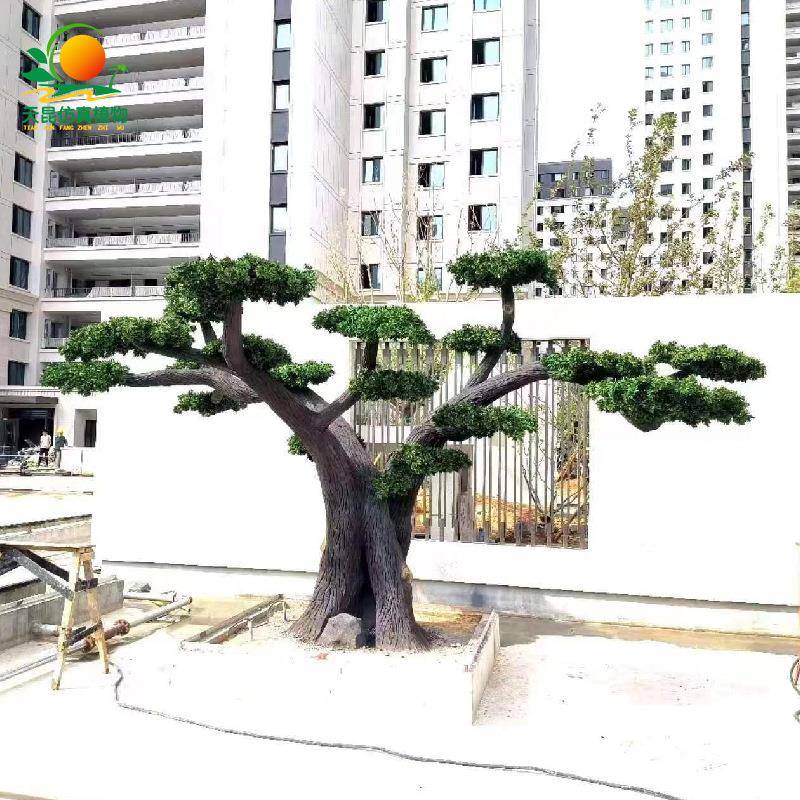 仿真罗汉松大型假罗汉松水泥仿真迎客松室内外庭院造景摆件假树