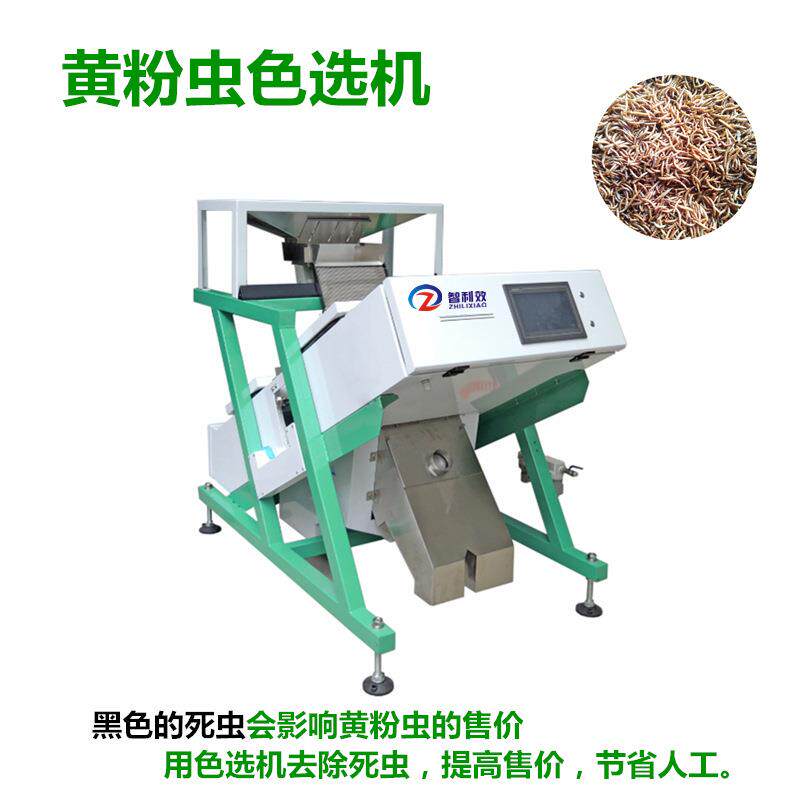 家用小型黄粉虫色选机大麦虫蝇蛆黑水虻分选去除死虫直销智能