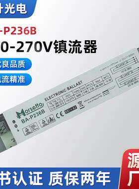 110-270VBA-P236B电子镇流器供应消毒灯空气净化器灯管设备专用