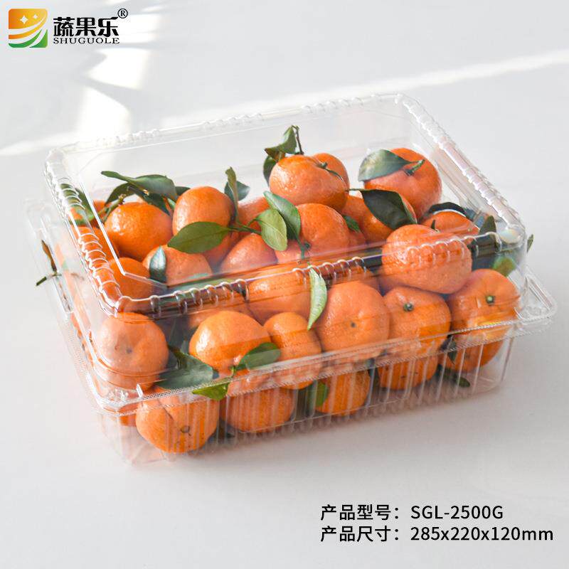蔬果乐2500一次性果蔬橘子透明塑料包装盒加厚5斤装水果盒长方形