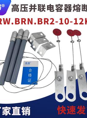 高压并联熔断器电容保护器BR2-BRW-BRN-10A12KV/30A40A60A100A150