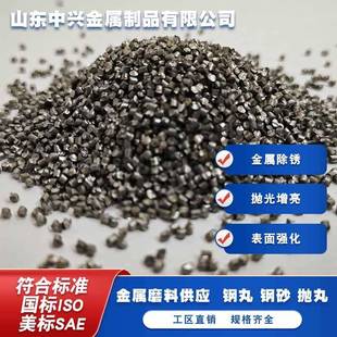 小型专用磨料钢砂不锈钢丸钢丝切丸钢丸直销耐磨铸钢丸