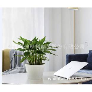 直销KD3821W KD3826W白色塑料花盆木桶系列园艺产品