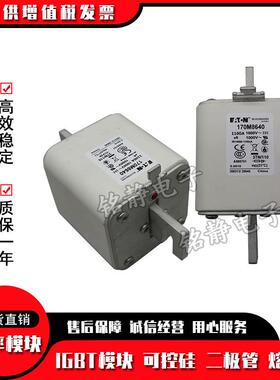 170M8618170M8619170M8620170M8621巴斯曼熔断器现货170M8622