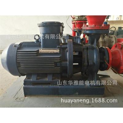 YDT-315S-2-110KW电机销售YDT电机防爆等级CT4