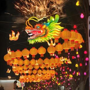 大型节日春节非遗花灯吊龙龙头龙尾蛇年新年元宵夜市灯笼厂家定制