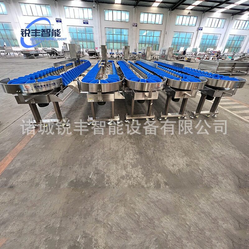 红心龙果 芒果分选机 橙子自动分级机 砂糖橘分选机 板栗分选机