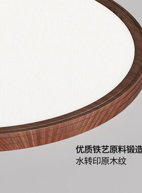 桃木纹现代约护胡简眼主室吸HBX094顶灯复古原木风客厅卧书房过道