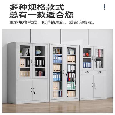 室4668钢制件铁皮柜办公文柜玻璃资料柜厚加财务档案凭证柜带锁储