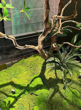 约高端马醉植木天井造景橱窗物室内仿tb-78731真绿植装饰树大型假