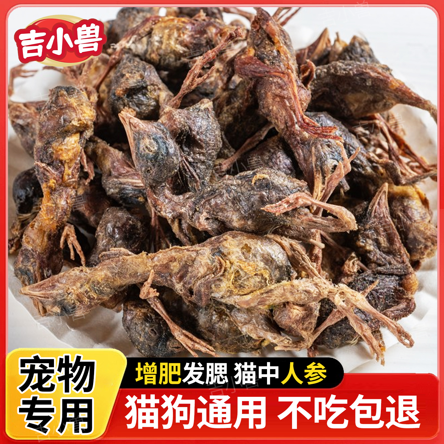 整只鹌鹑冻干猫咪零食训宠猫狗通用纯肉小鸡仔营养品宠物试吃装