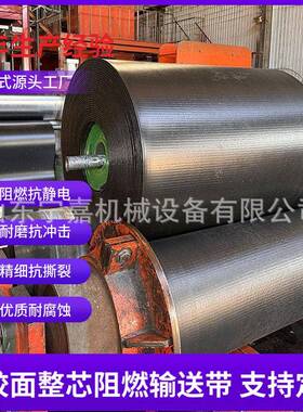 PVG800S-800mm整芯阻燃输送带阻燃抗静电PVG800S橡胶面整芯阻燃带