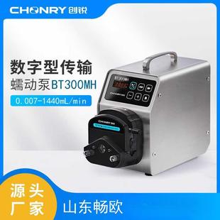 创锐BT300MH微型蠕动泵工业灌装蠕动美矿浮选用恒流不锈钢外壳