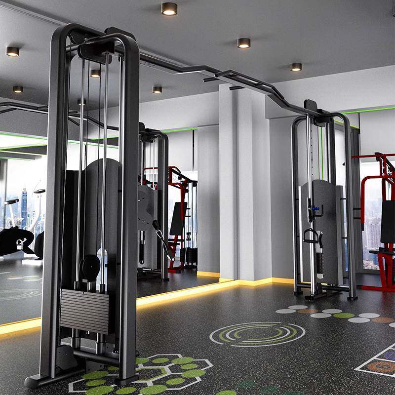 大飞鸟龙门架健身房小飞鸟rep引体向上器材多功能夹胸综合训练器