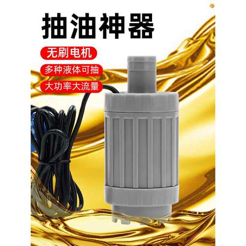 电动抽油泵12V24伏无刷小型抽水泵电动油抽子吸柴油液机油抽油器
