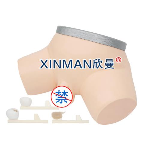 前列腺检查操作仿真模型