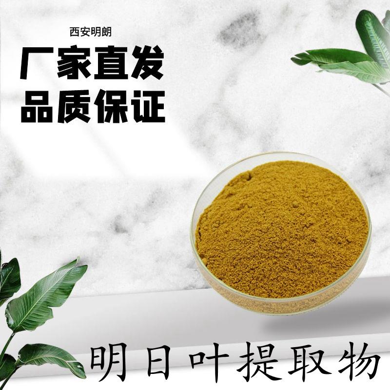 明日叶提取物植物萃取长寿草提取物长寿草粉明朗现货