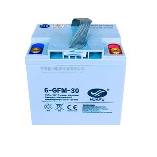 中力大金刚叉车6GFM30蓄电池电动托盘搬运车12V30AH免维护电瓶