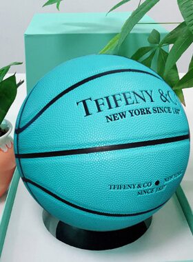 篮球限量版提芙湖蓝色5号儿童幼儿园4号定制刻字7号初中生6号中考