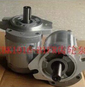 齿轮泵CBK1016-B1FR CBK1020-B1FR CBK1025-B1FR CBK1025-A1FR