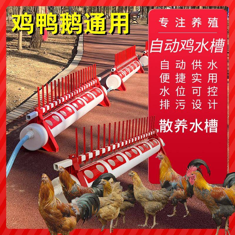 养鸡饮水器鸡鸭鹅自动喂水器喝水槽养殖鸡用自动饮水槽鸭子喝水槽