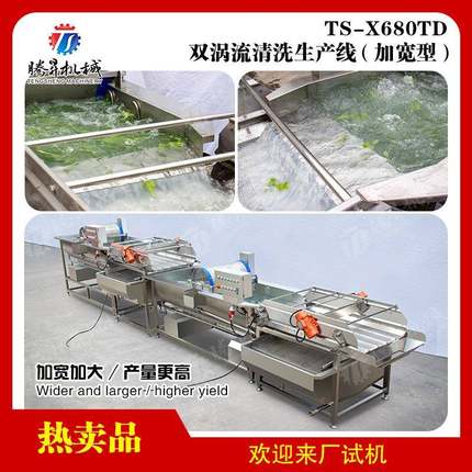 水果清洗生产线橙子清洗大型洗菜机械果蔬涡流清洗机振动除水