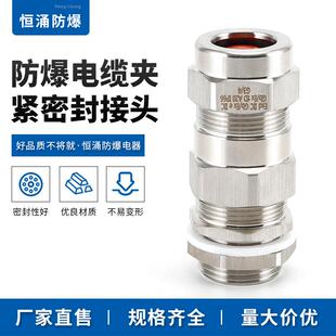供应防爆格兰头BDM-VII防爆夹紧接头防爆电缆夹紧密封接头