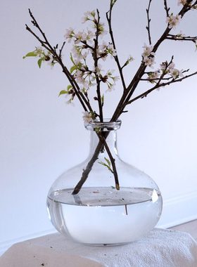 OOOOH简约圆形大肚瓶吊钟马醉木插枝插花水培透明玻璃花瓶