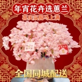 全国大花惠兰蝴蝶兰盆栽鲜花同城速递开业乔迁长辈生日送礼上海店