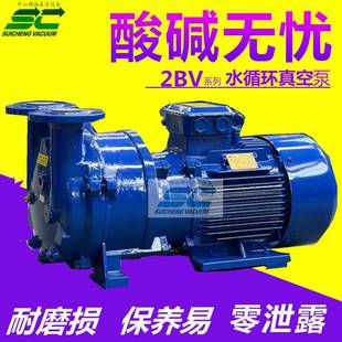 空2v水环式 真空泵蒸汽b135灭菌抽真生产厂家现货穗诚真空