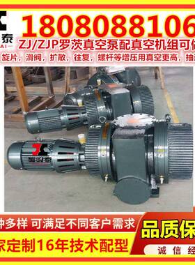 J/ZJ70罗茨真泵1.Z1/1.5KW罗茨泵SEO真空蒸馏漳州70PL/S真空空机