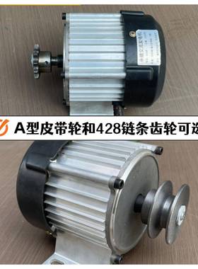 低速22v伏2000永w瓦交流发电机220伏2000磁无刷铜线5赫兹0HZ家用