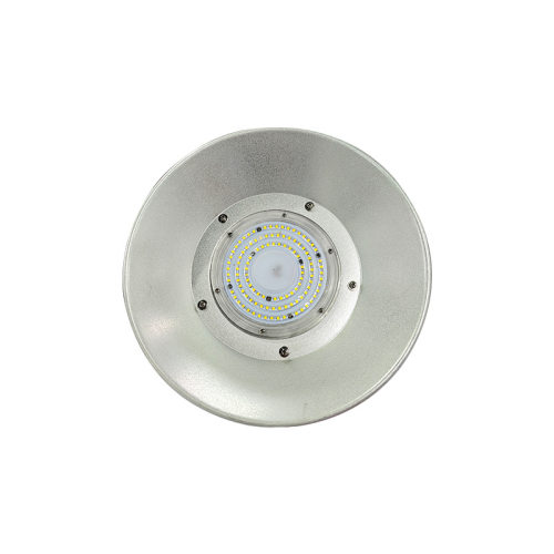 深照紫光GF9039LED泛光灯100W