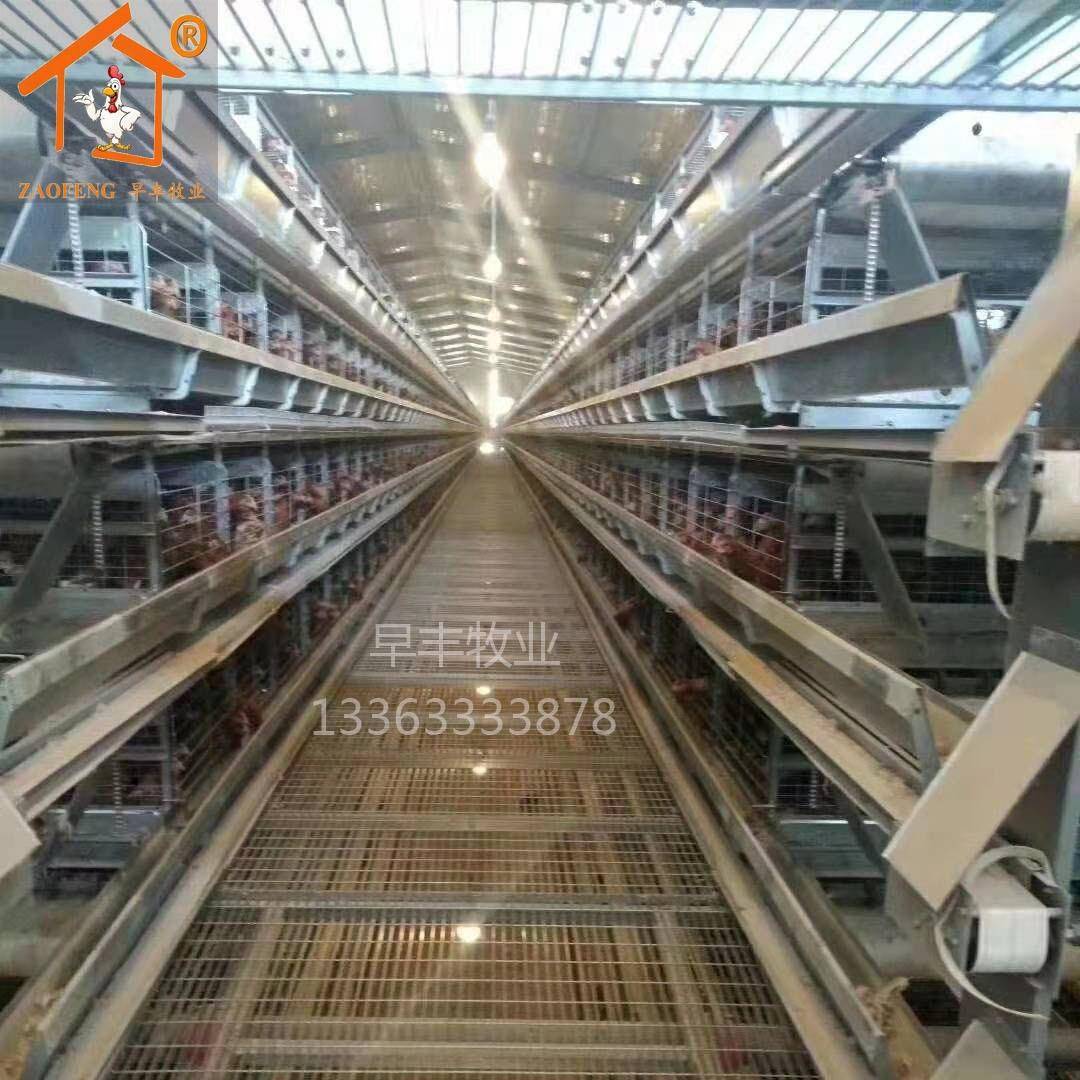 生产全自动层叠蛋鸡笼热镀锌坚硬方管蛋鸡笼自动除粪双面鸡笼